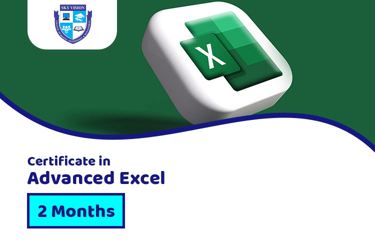 sky vision college Excel